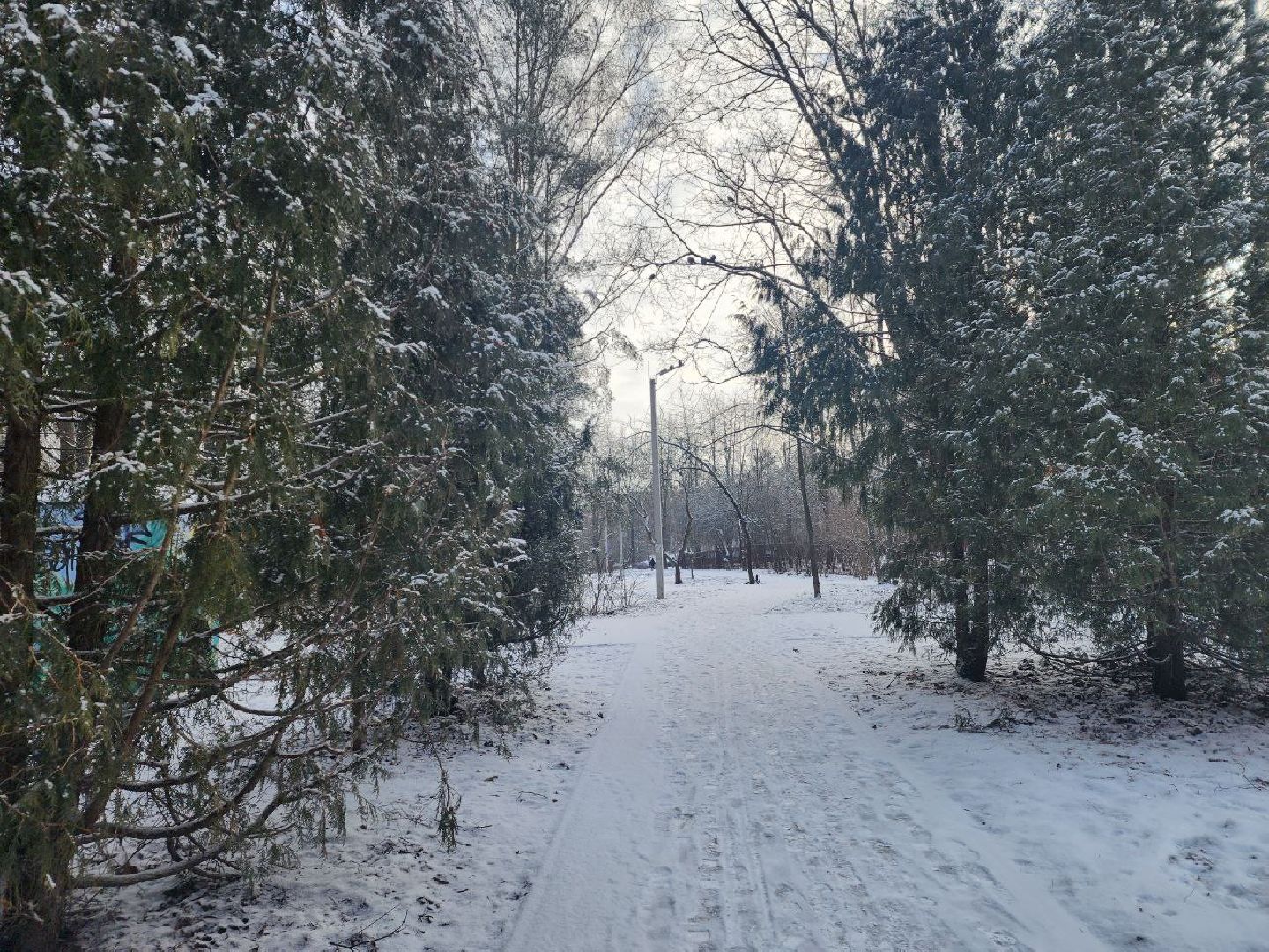 пущино, серпухов, выездная администрация,