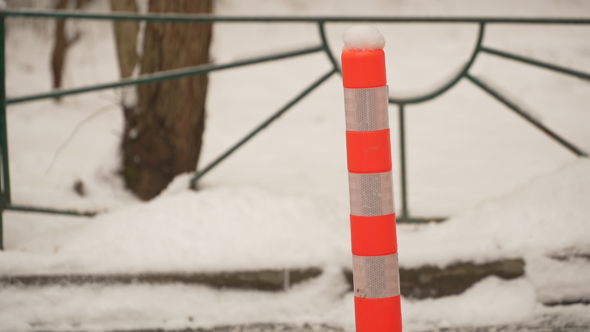 вертикалки, обращения жителей, Власиха добродел, обход территории, Власиха Заозерный,