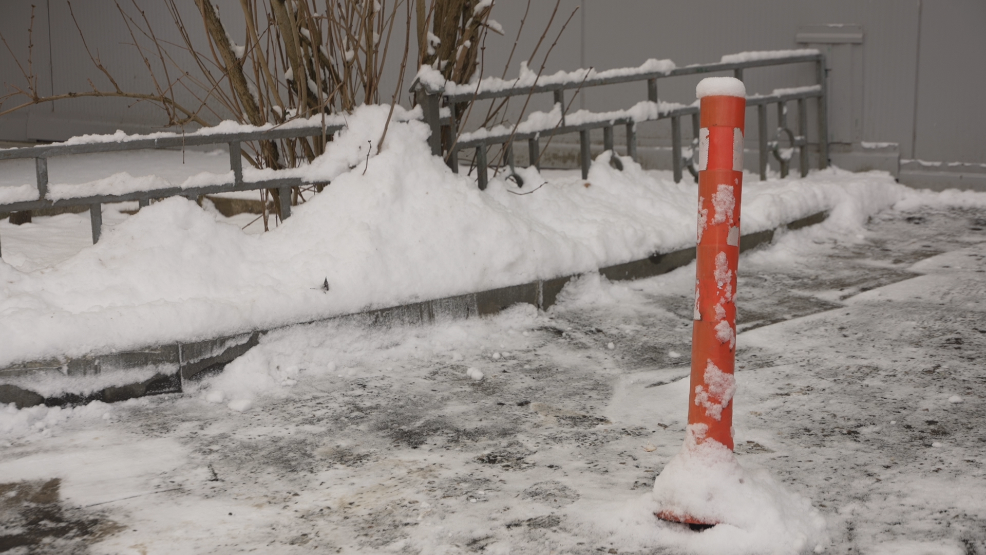 вертикалки, обращения жителей, Власиха добродел, обход территории, Власиха Заозерный,