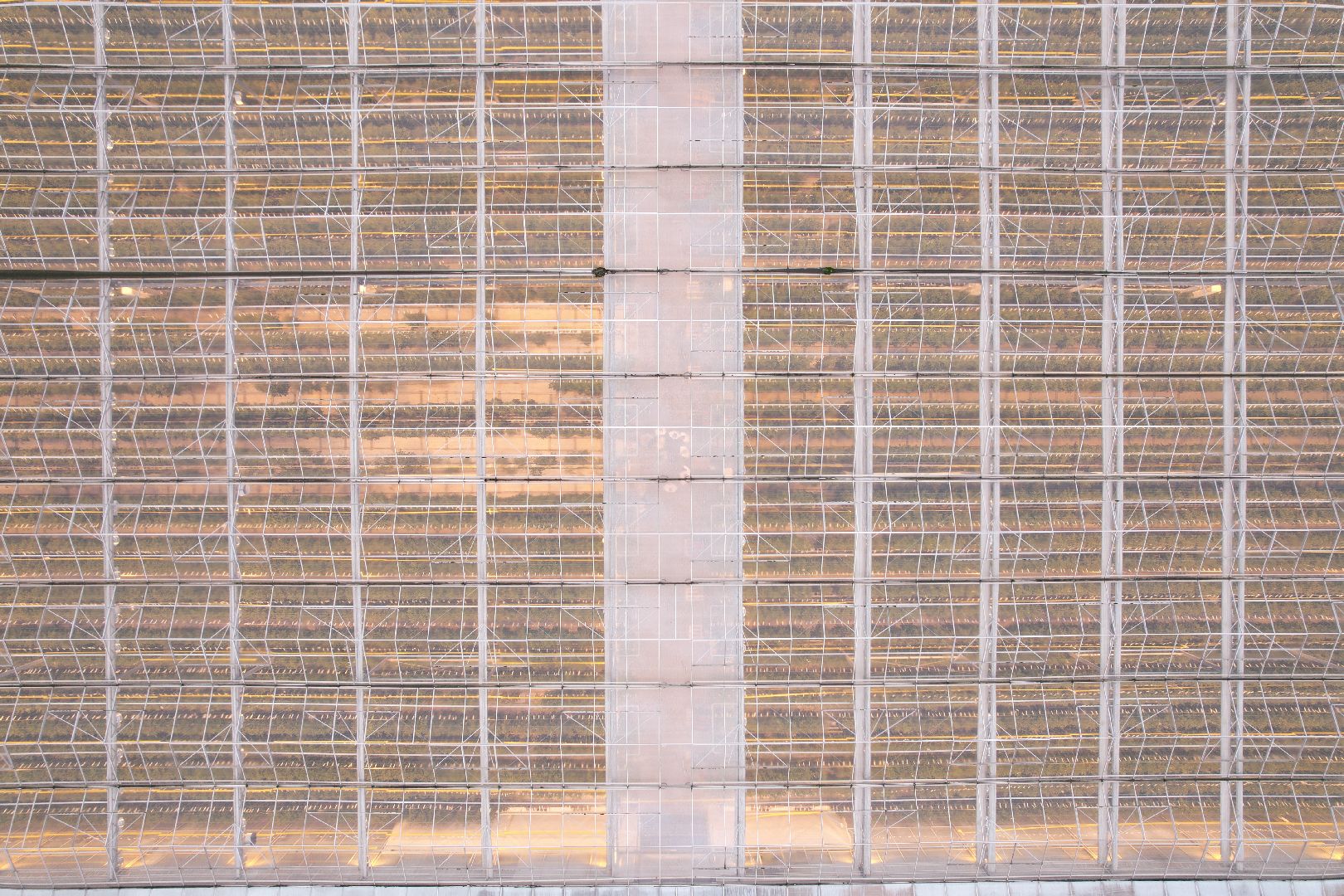 видео с коптера, воскресенск, агрохолдинг, экокультура,