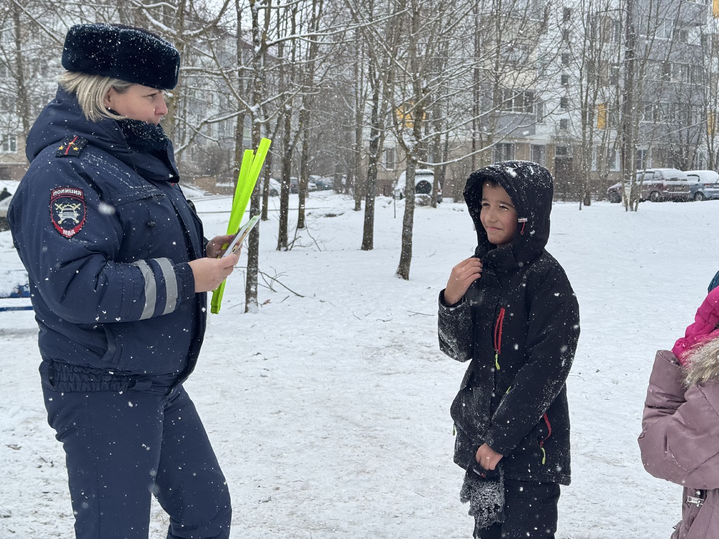 шаховская, волонтеры, госавтоинспекторы, акция, вертикалки,