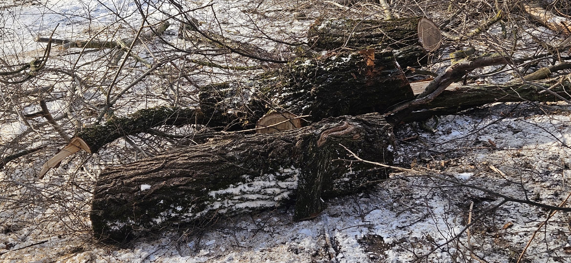 опиловка, жкх, жуковский, вертикалки, работа,