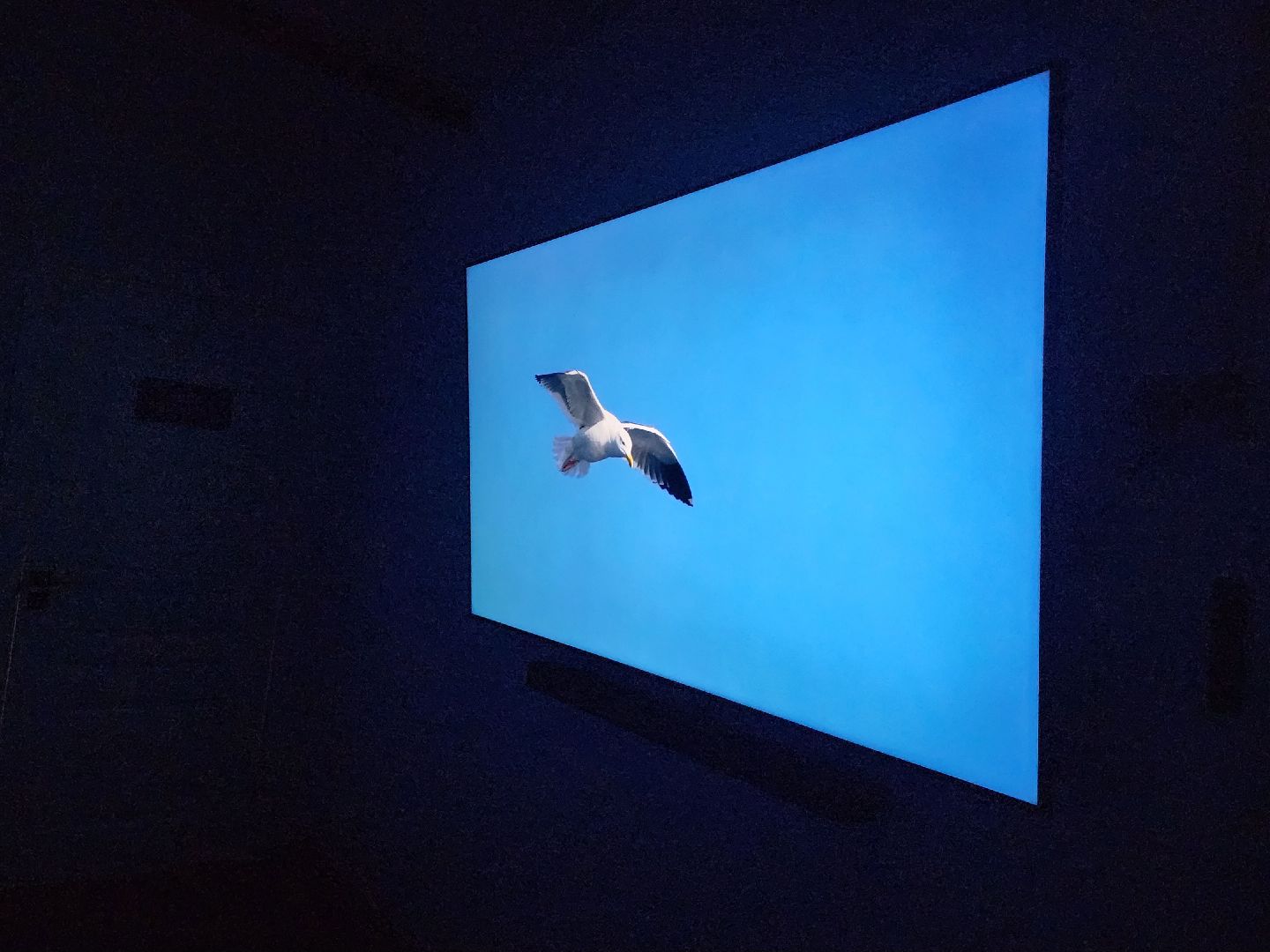 Коломна, туризм, виртуальная реальность,