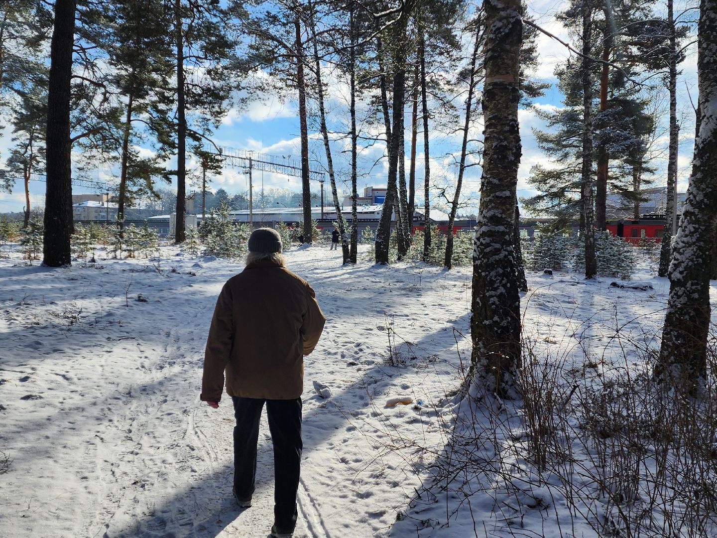 красноармейск, городской округ пушкинский, лесопарк, благоуйстройство, неравнодушные жители, вертикалки,