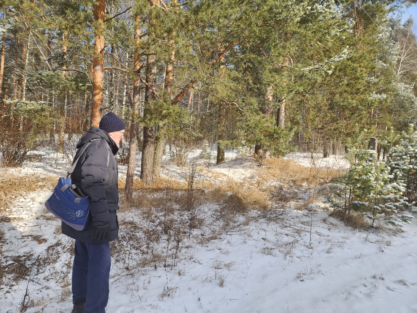 красноармейск, городской округ пушкинский, лесопарк, благоуйстройство, неравнодушные жители, вертикалки,