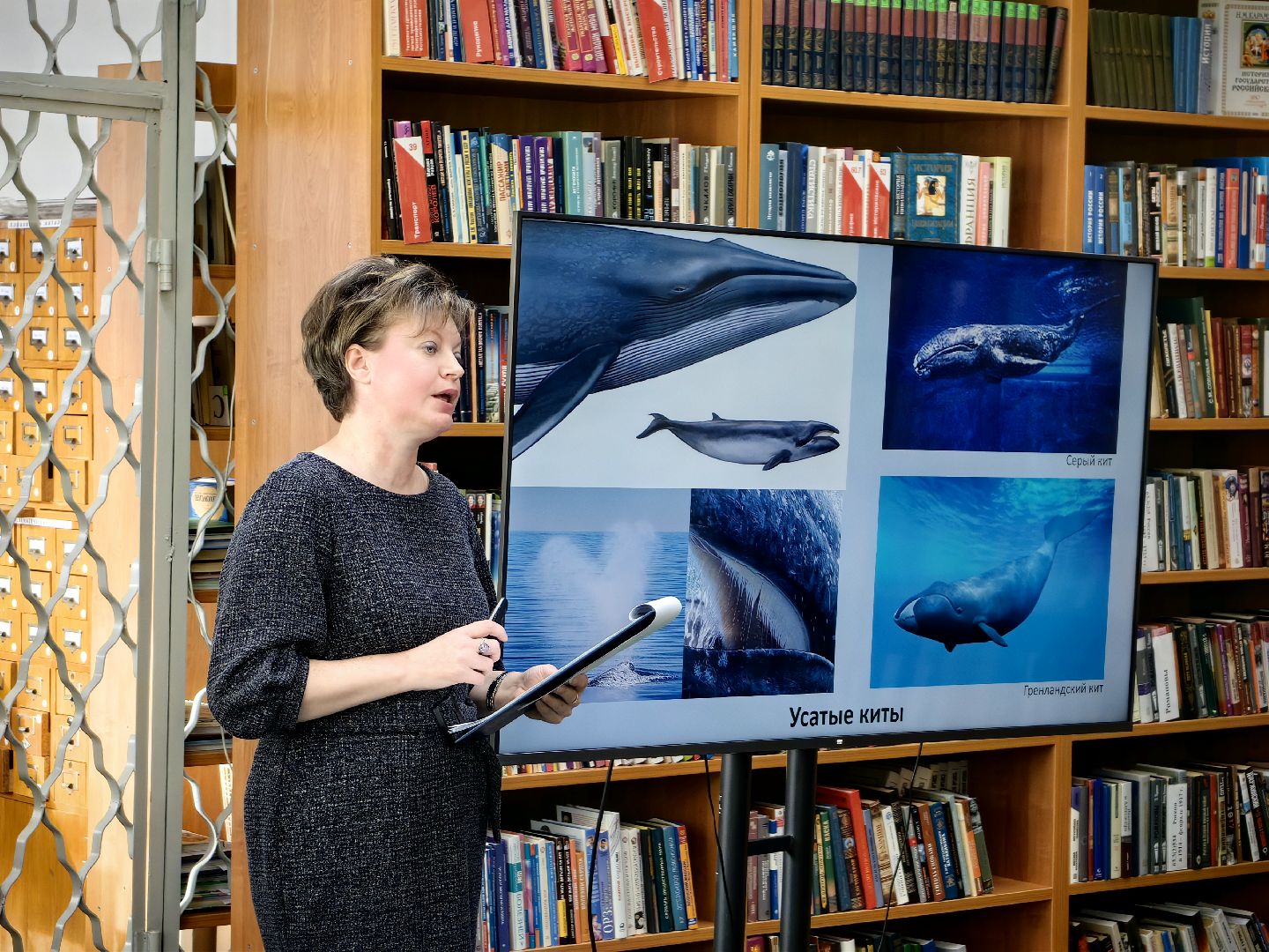 экоцентр, экология, Защитим морских млекопитающих, конкурс, рисунки, вертикалки,