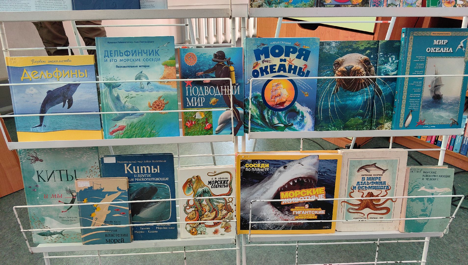 экоцентр, экология, Защитим морских млекопитающих, конкурс, рисунки, вертикалки,