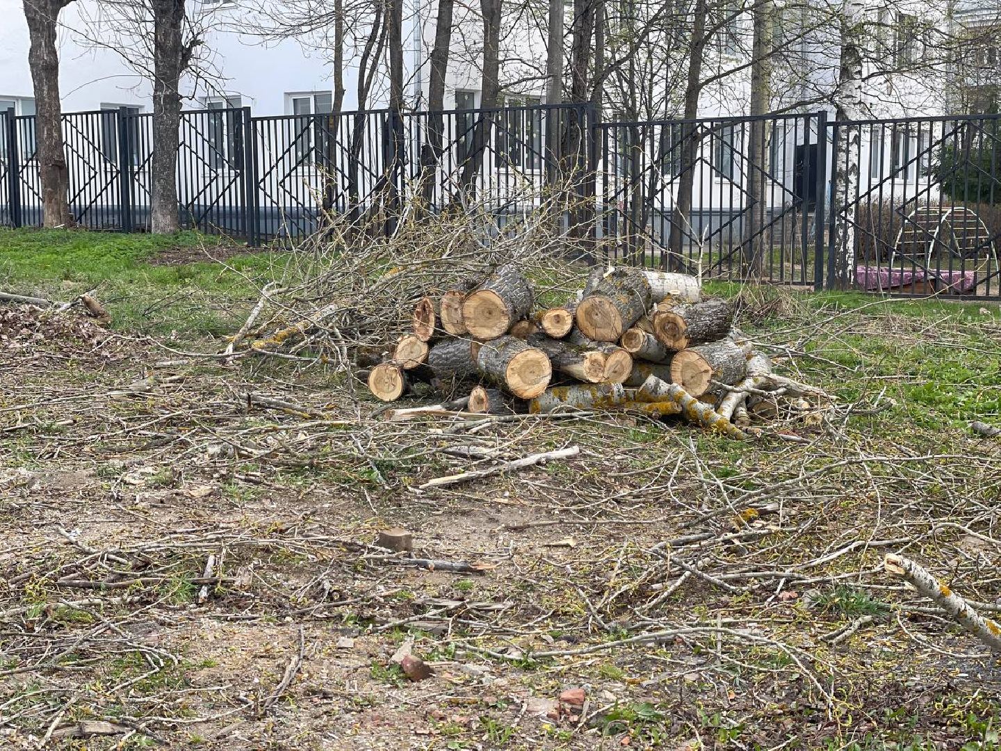 Сергиев Посад, Сергиево-Посадский городской округ, Субботник, Государственная Дума, Благоустройство