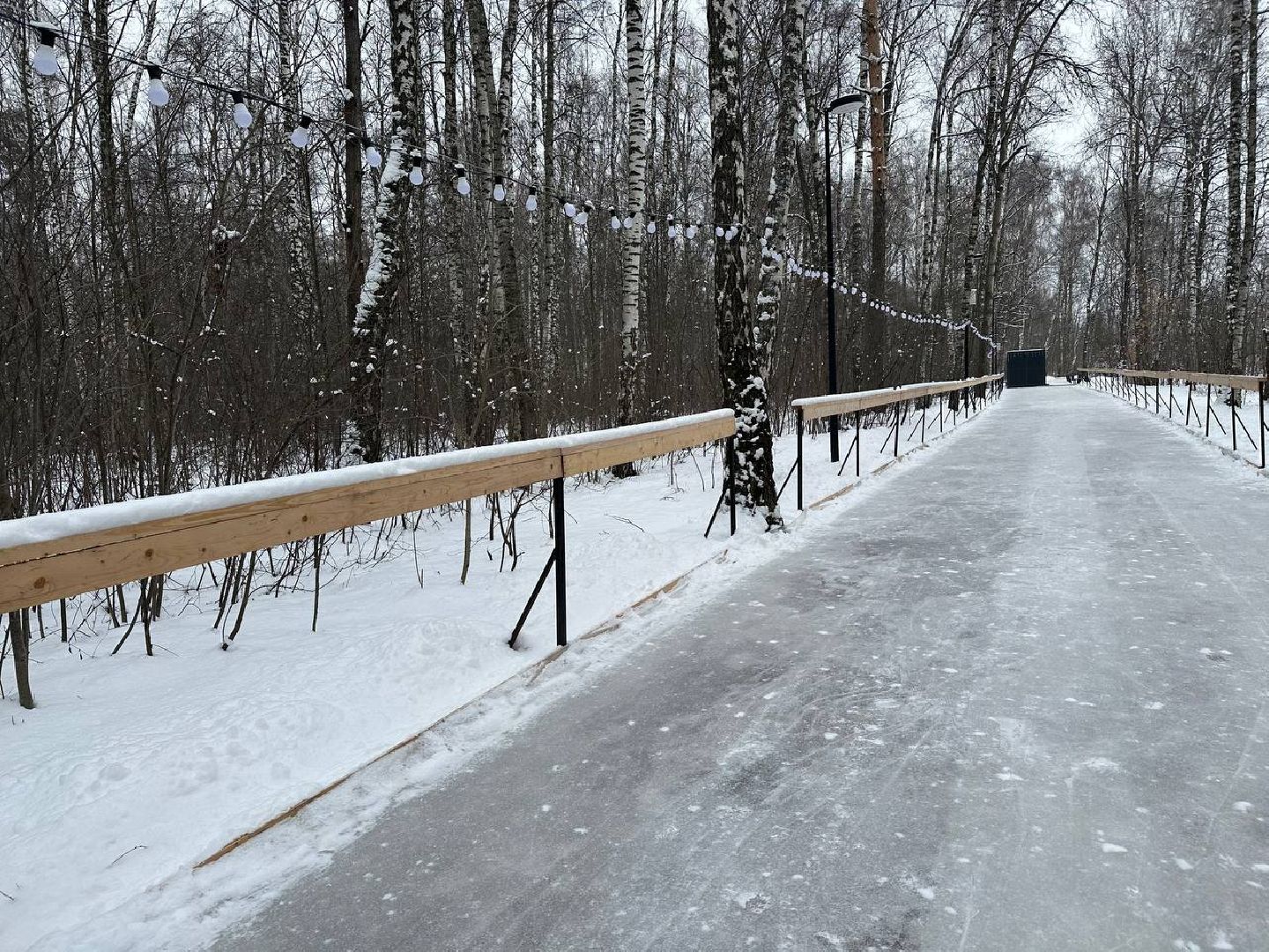 каток в парке, домодедедово,