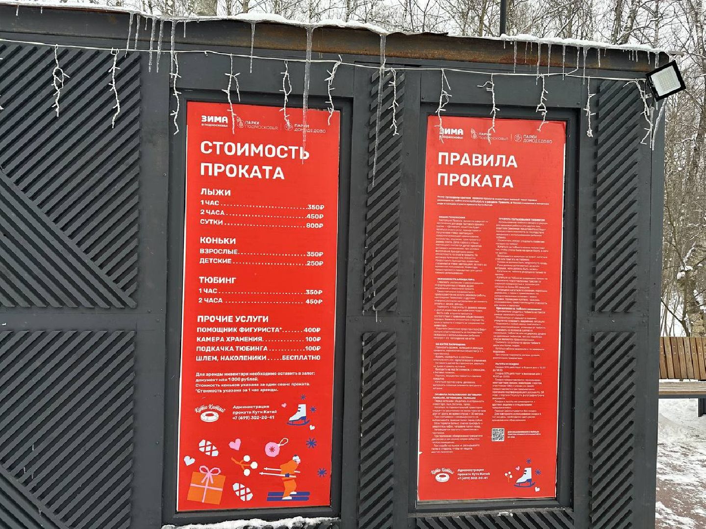 каток в парке, домодедедово,