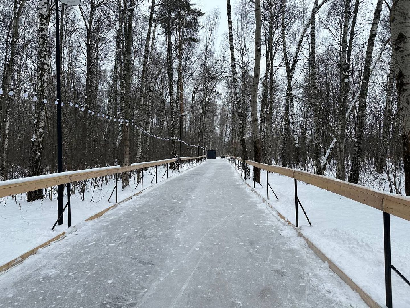 каток в парке, домодедедово,