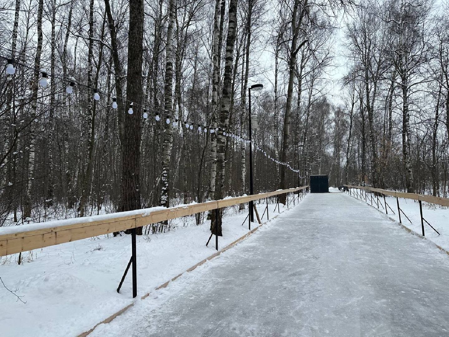 каток в парке, домодедедово,