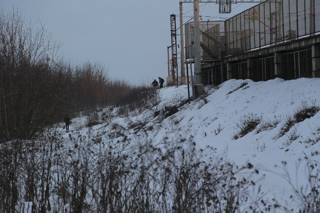 Жуковский, общество