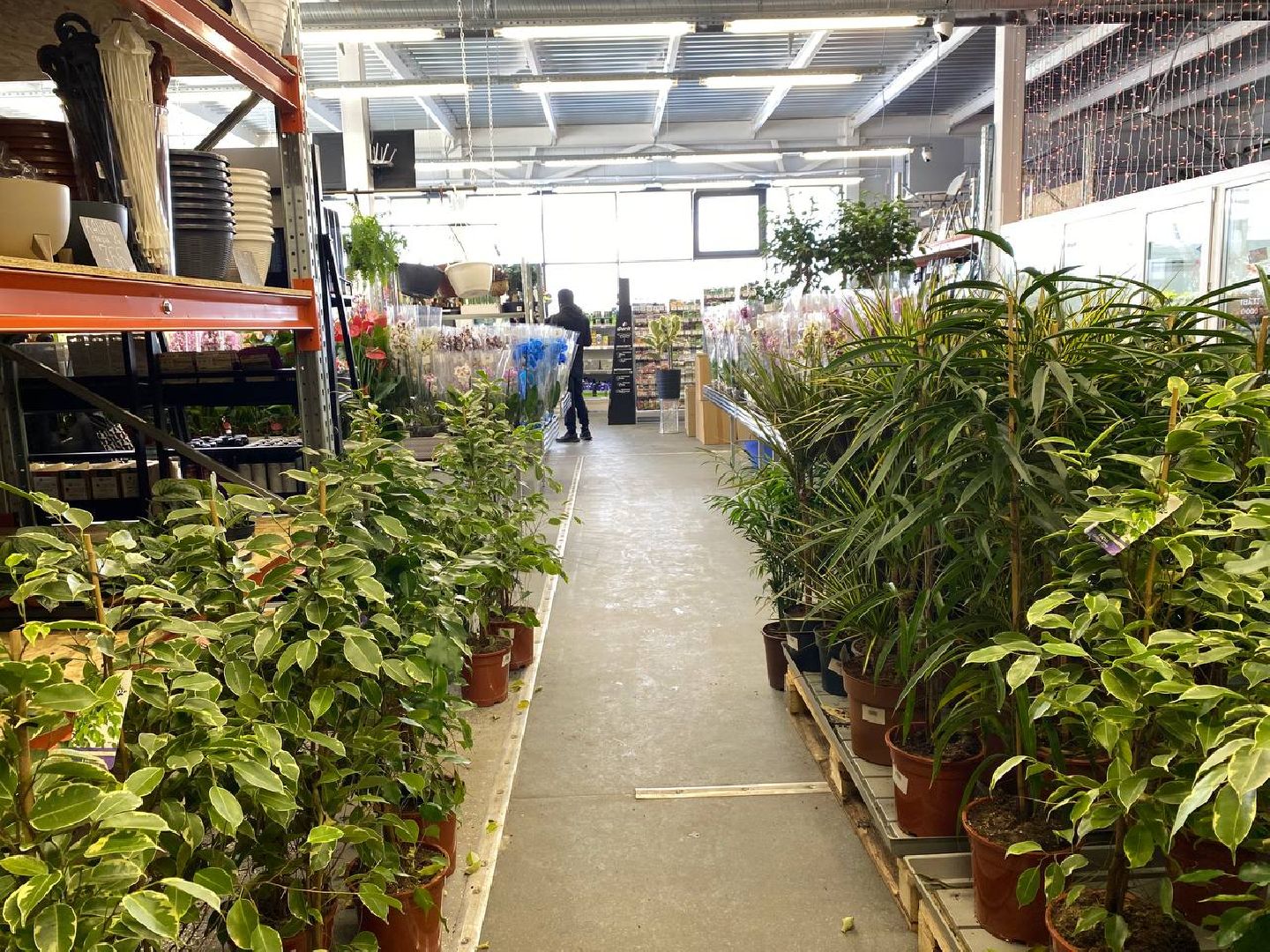 вертикалки, посадочка, цветочный магазин, садовыйцентр, цветывнахабино, цветыкрасногорск,