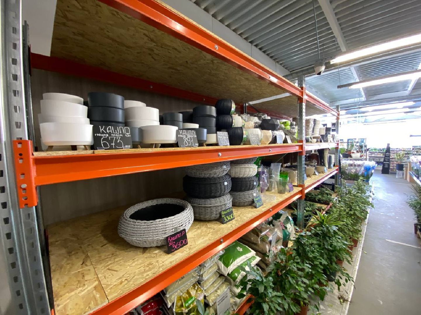 вертикалки, посадочка, цветочный магазин, садовыйцентр, цветывнахабино, цветыкрасногорск,