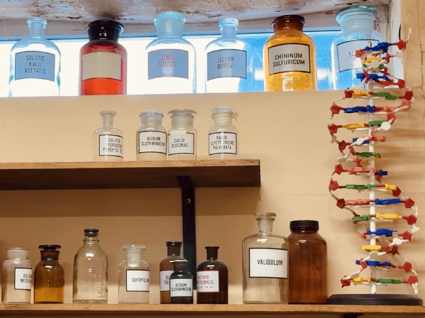 гжель, донино, раменское, музей, сво, мариуполь, фарфор,