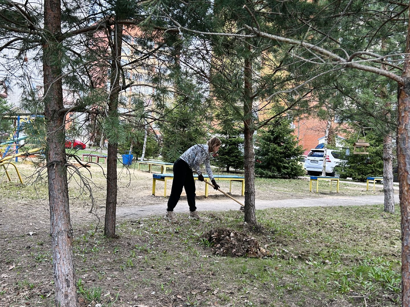 благоустройство, субботник, Фрязино, уборка