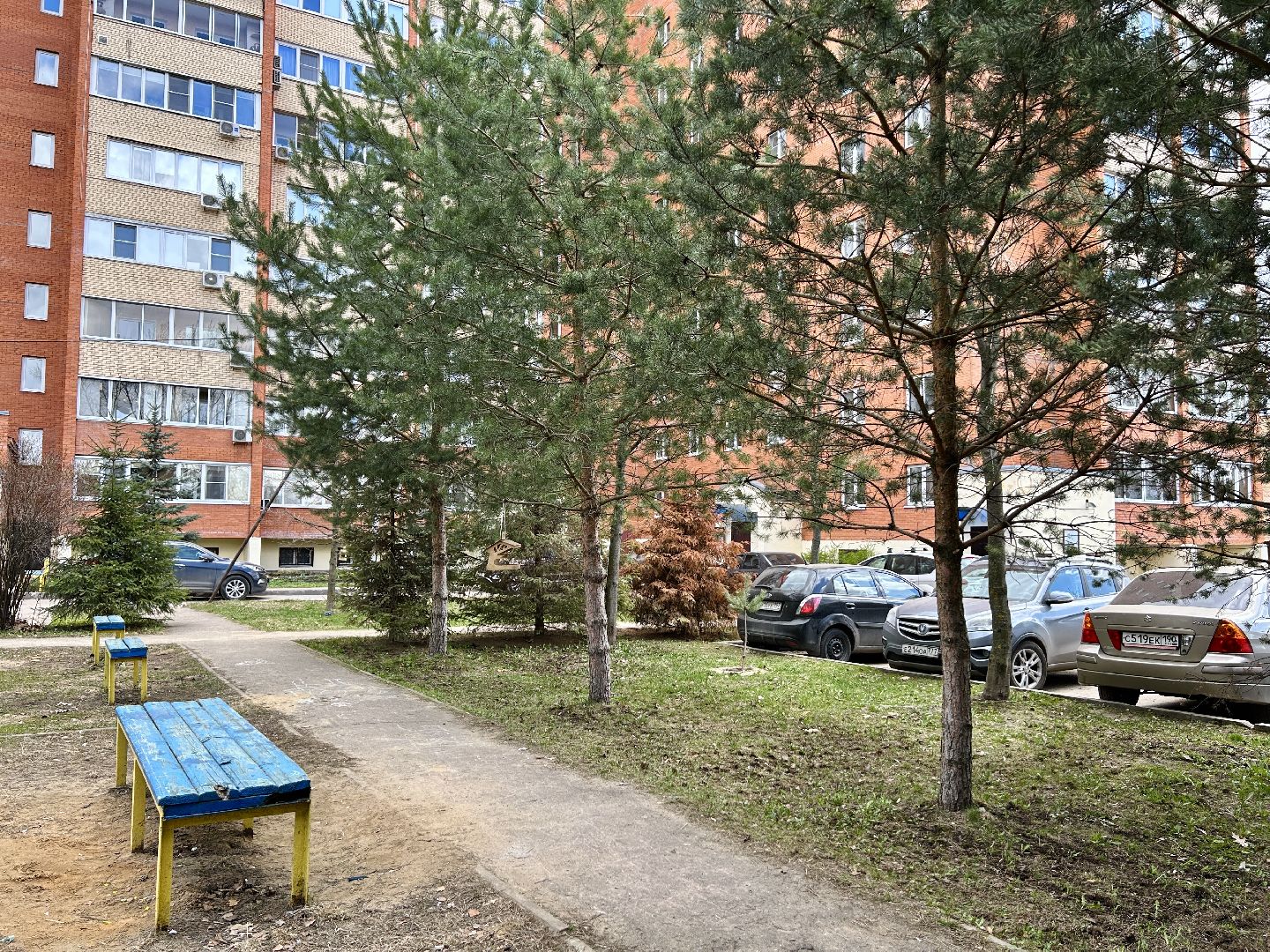 благоустройство, субботник, Фрязино, уборка