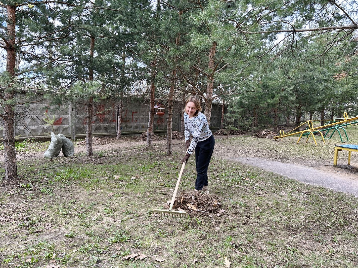 благоустройство, субботник, Фрязино, уборка
