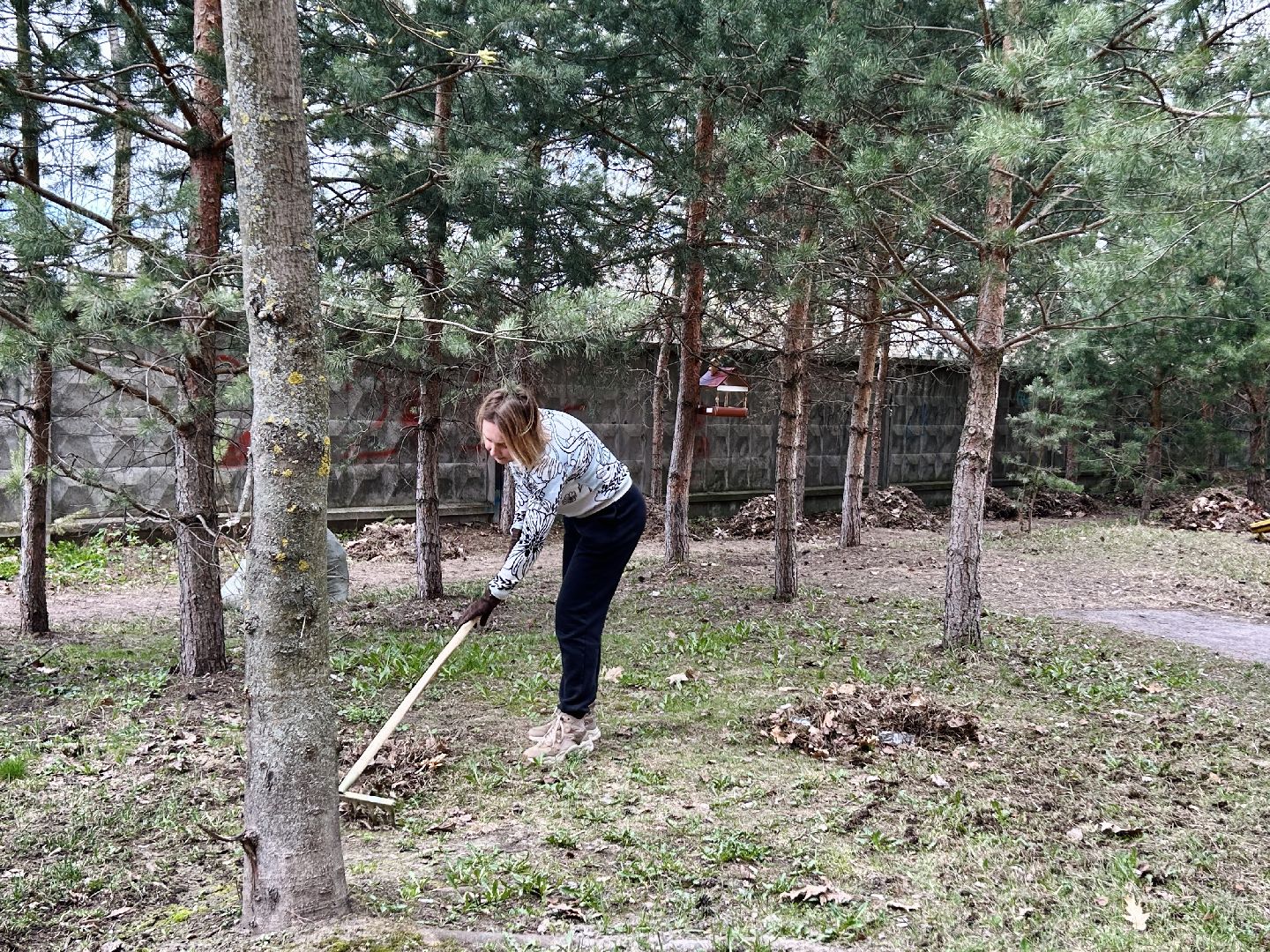 благоустройство, субботник, Фрязино, уборка