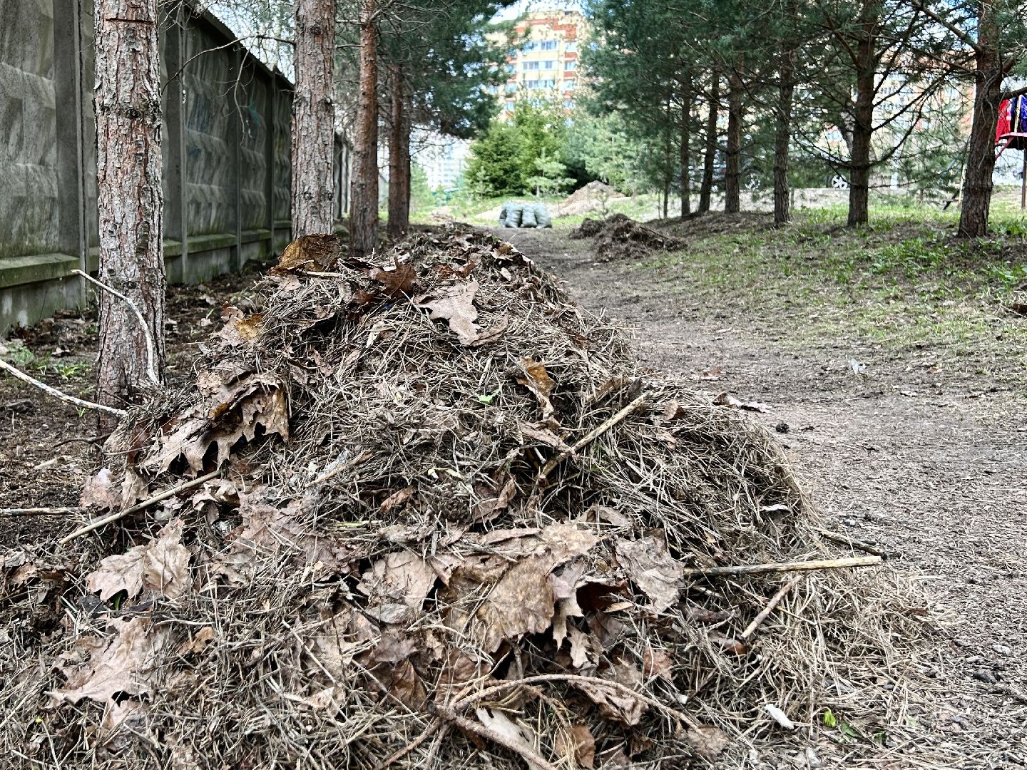 благоустройство, субботник, Фрязино, уборка