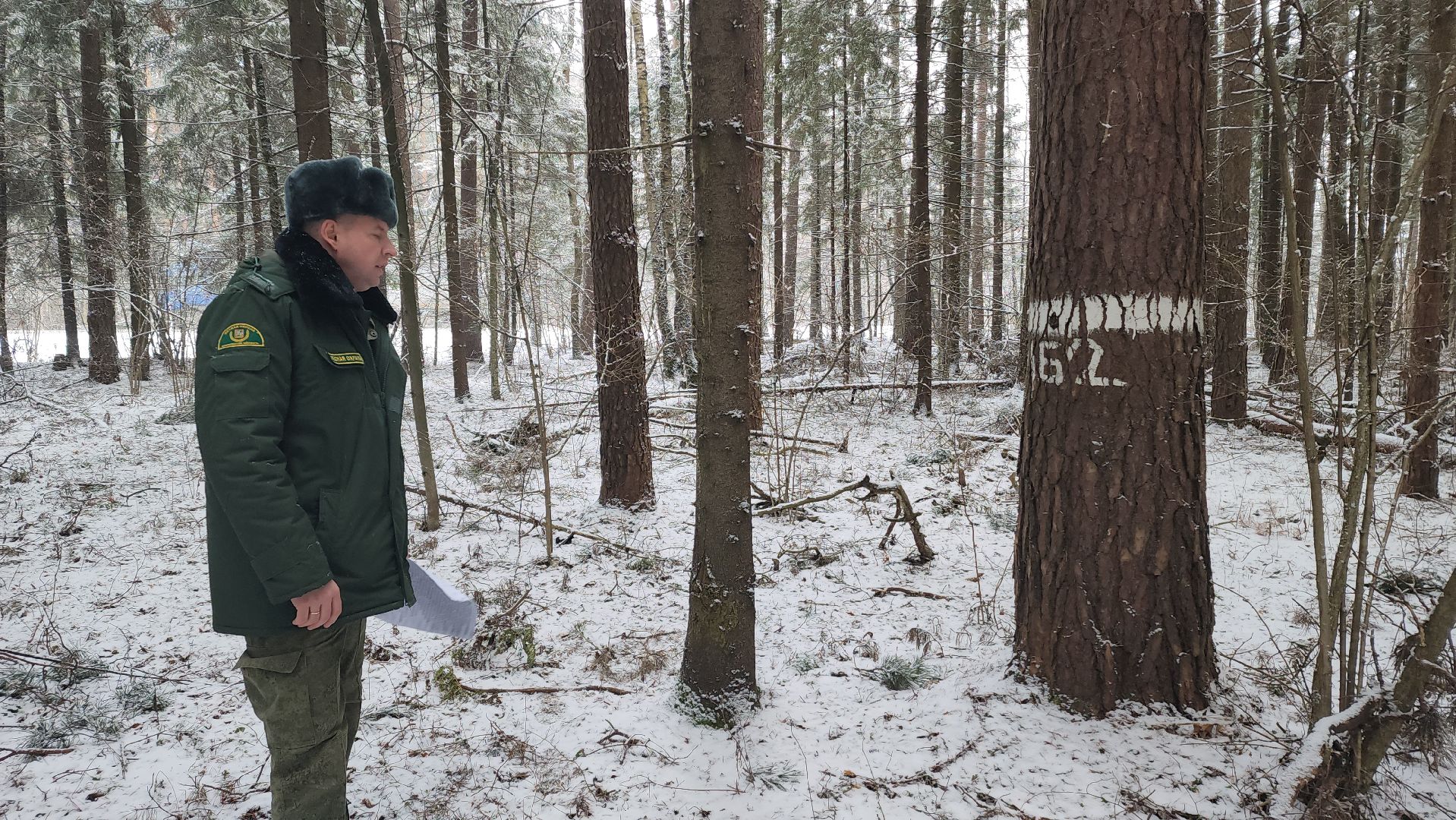 ступино, лесничие, русский лес,