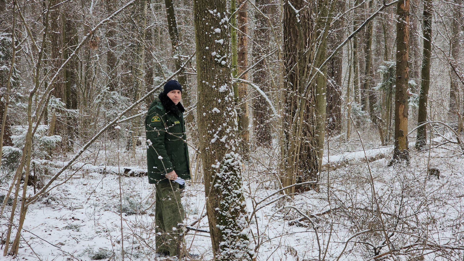 ступино, лесничие, русский лес,