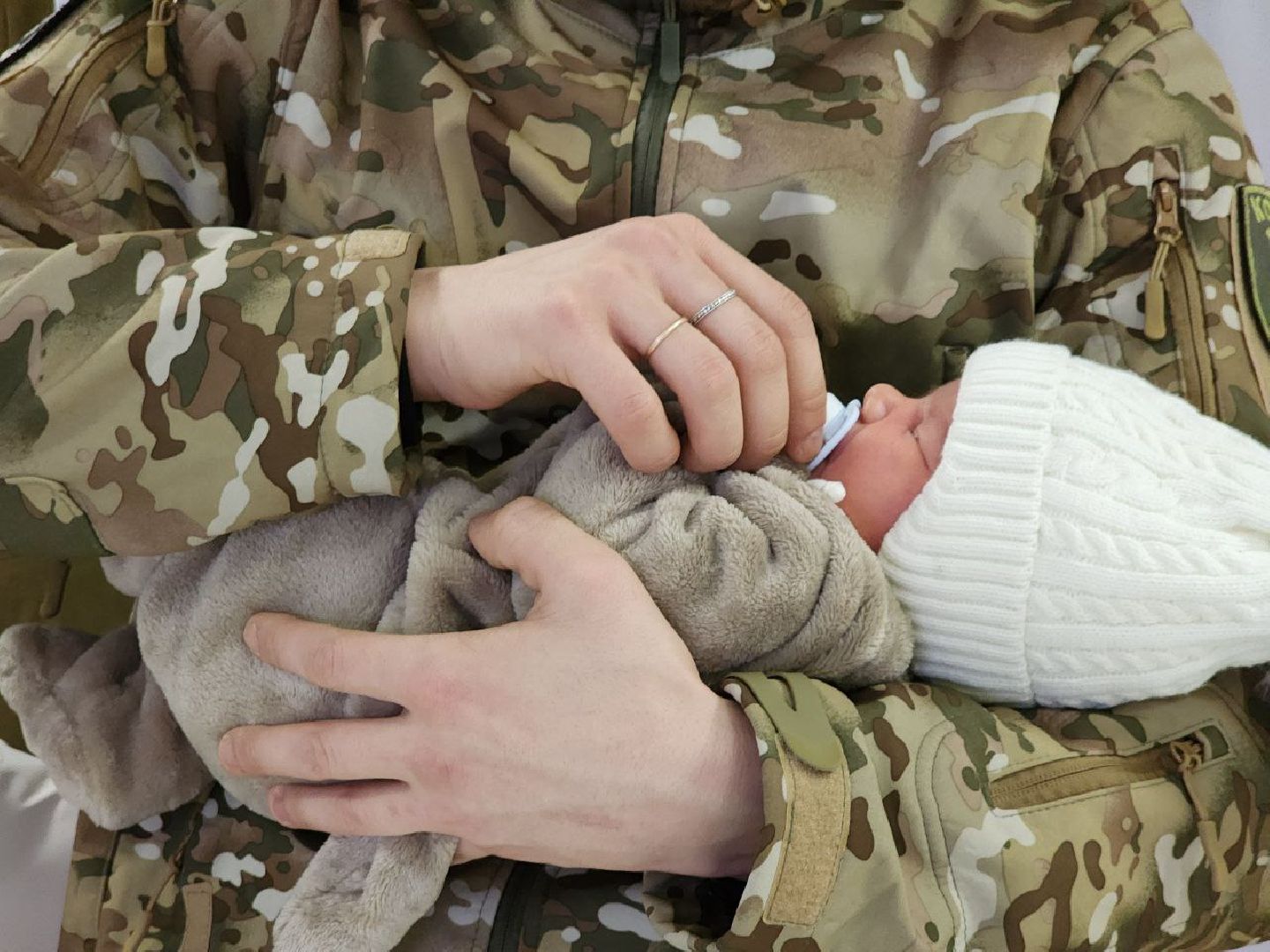 герои сво, вертикалки, луховицы, белоомут,