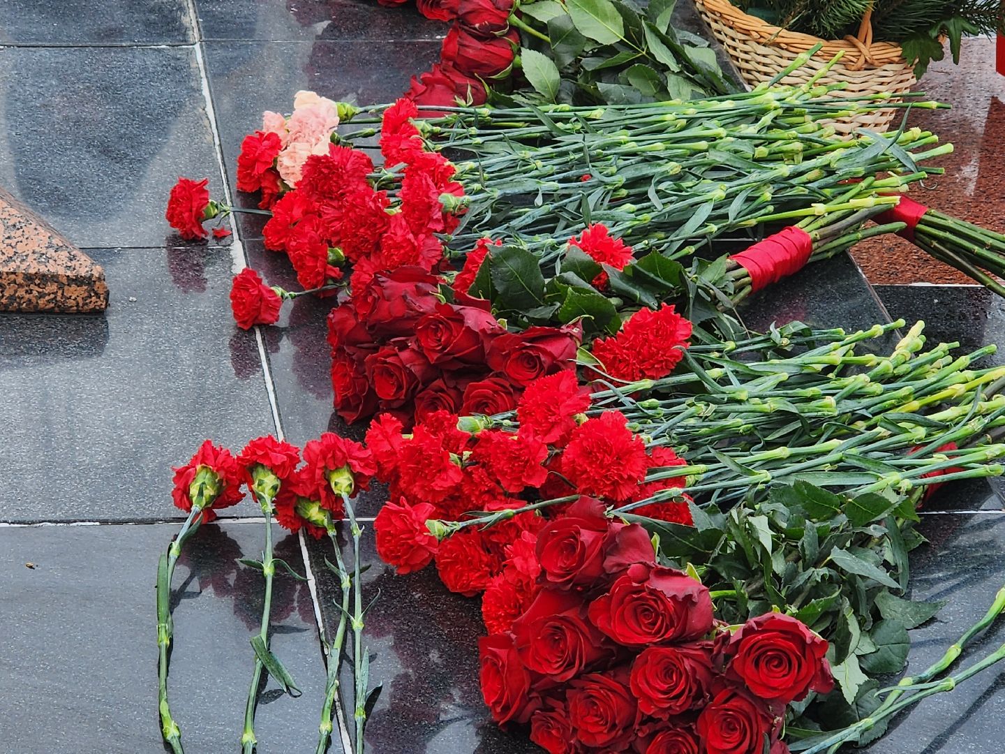 королёв, цветы, память, отечество, защитники, родина,