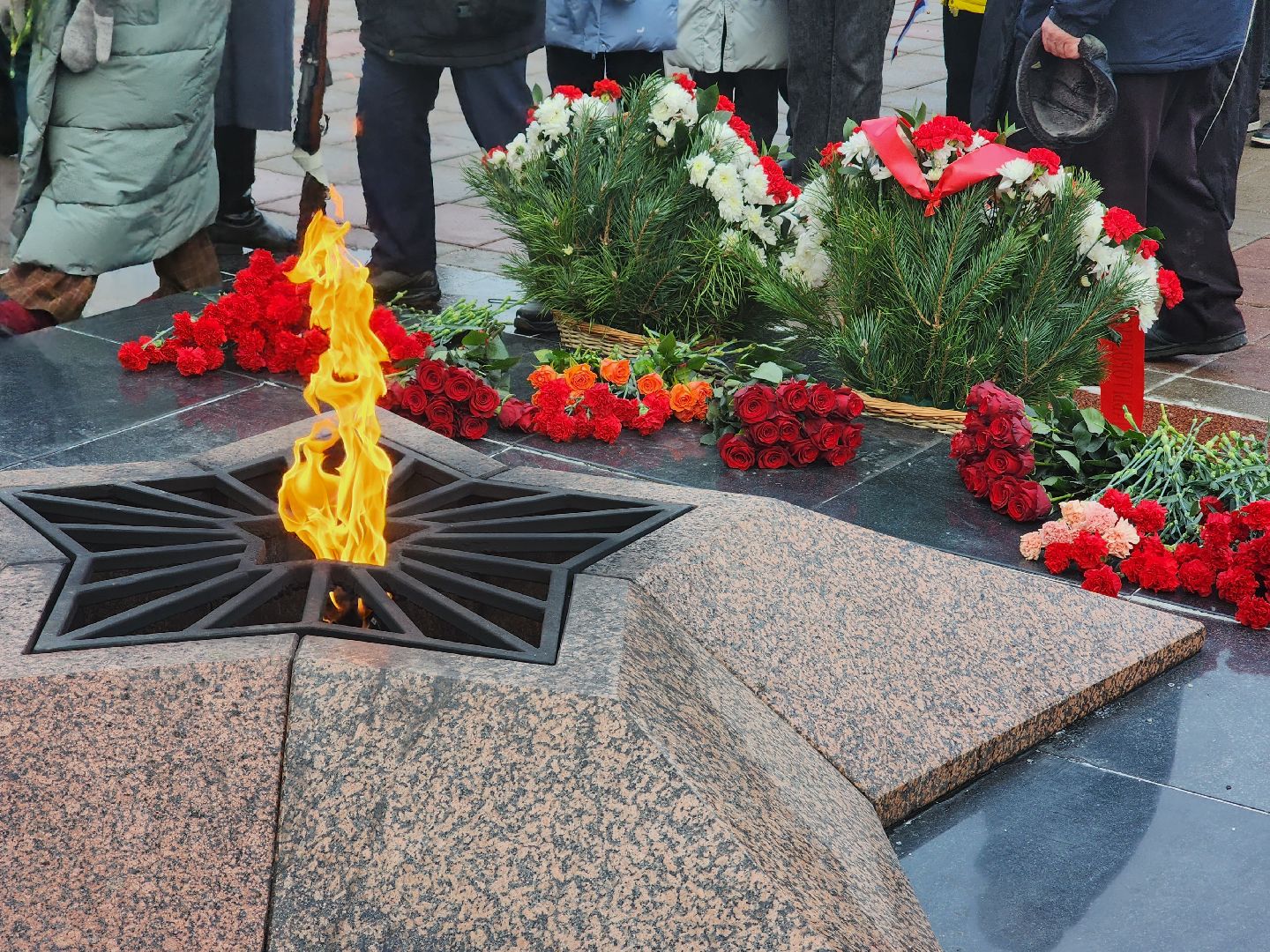 королёв, цветы, память, отечество, защитники, родина,