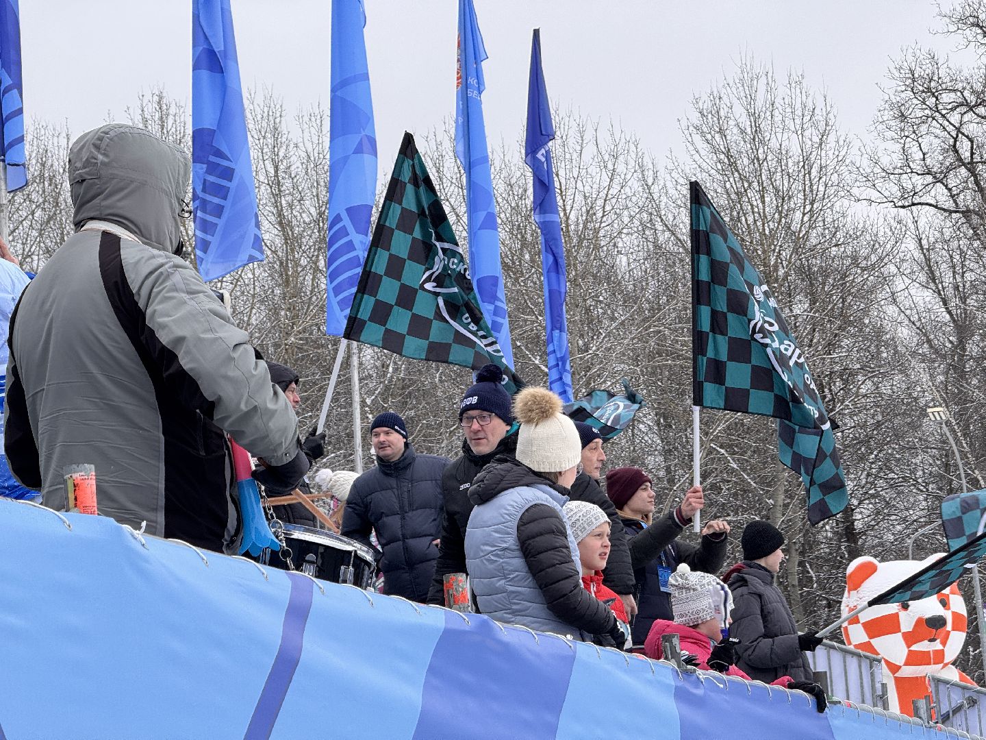 Волейбол на снегу, Чемпионат России, Заречье-Одинцово, вертикалки,