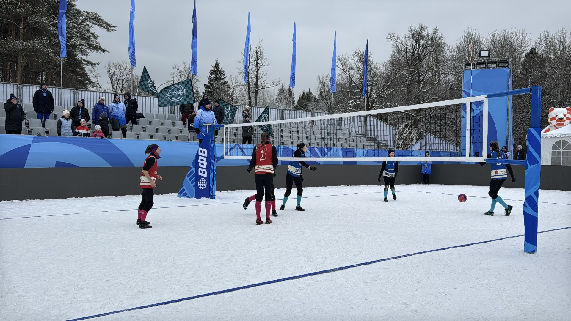 Волейбол на снегу, Чемпионат России, Заречье-Одинцово, вертикалки,