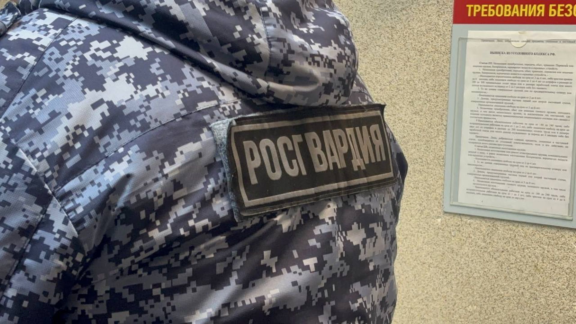 воскресенск, люди, росгвардия,