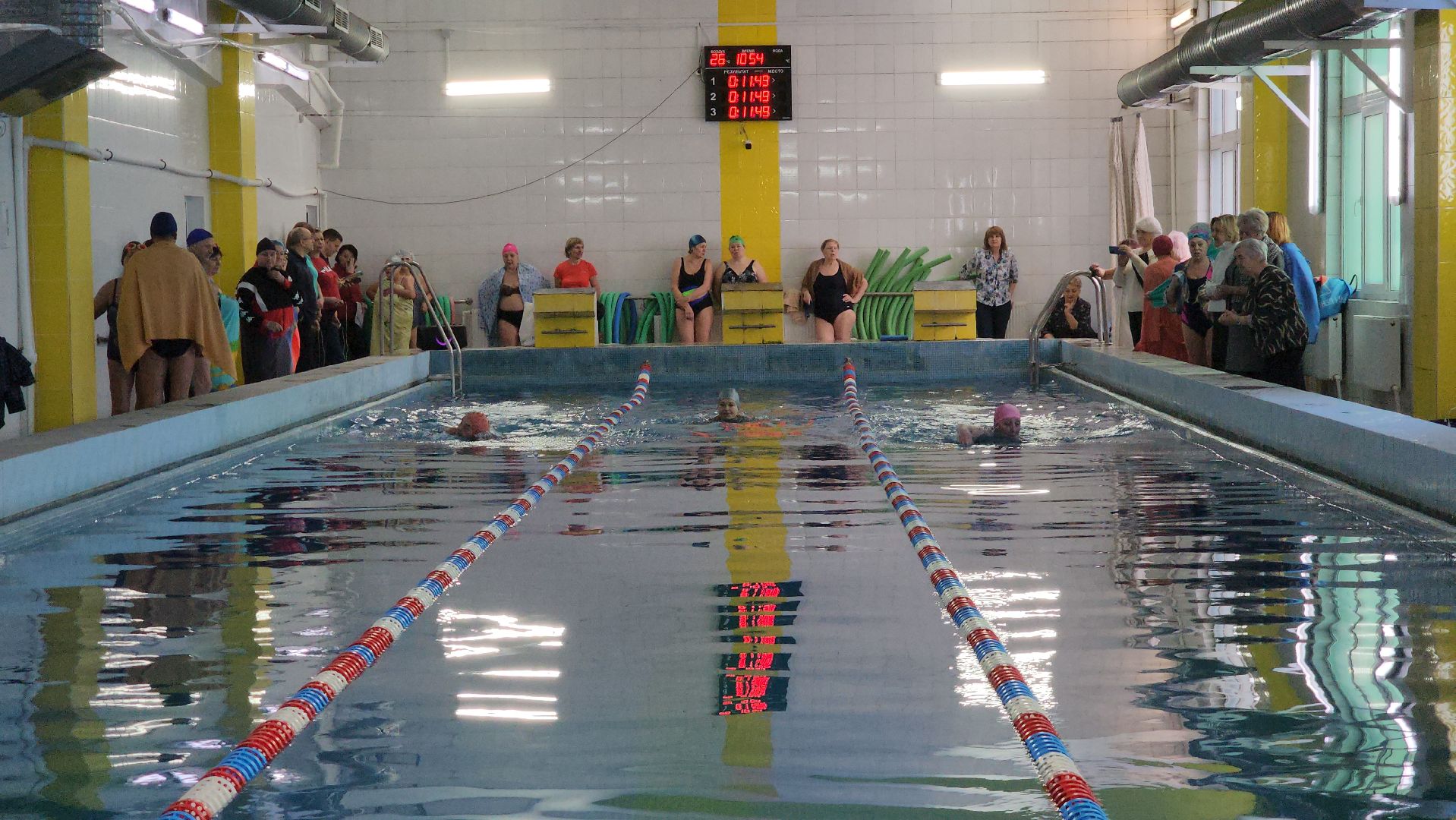 Спортсмены, Плавание, Соревнования, Лобня, Пенсионеры, вертикалки,