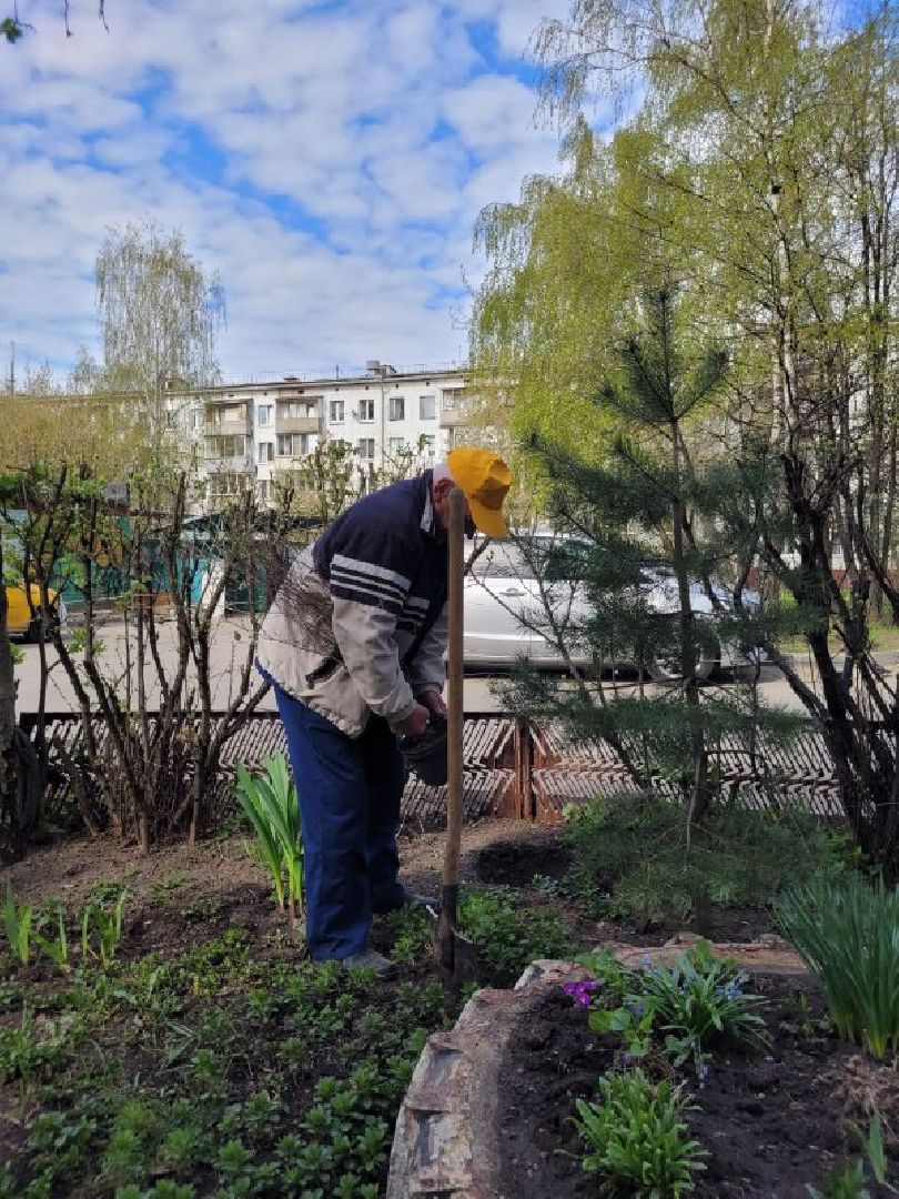 озеленение, депутат, помощь, экология, Видное, деревья