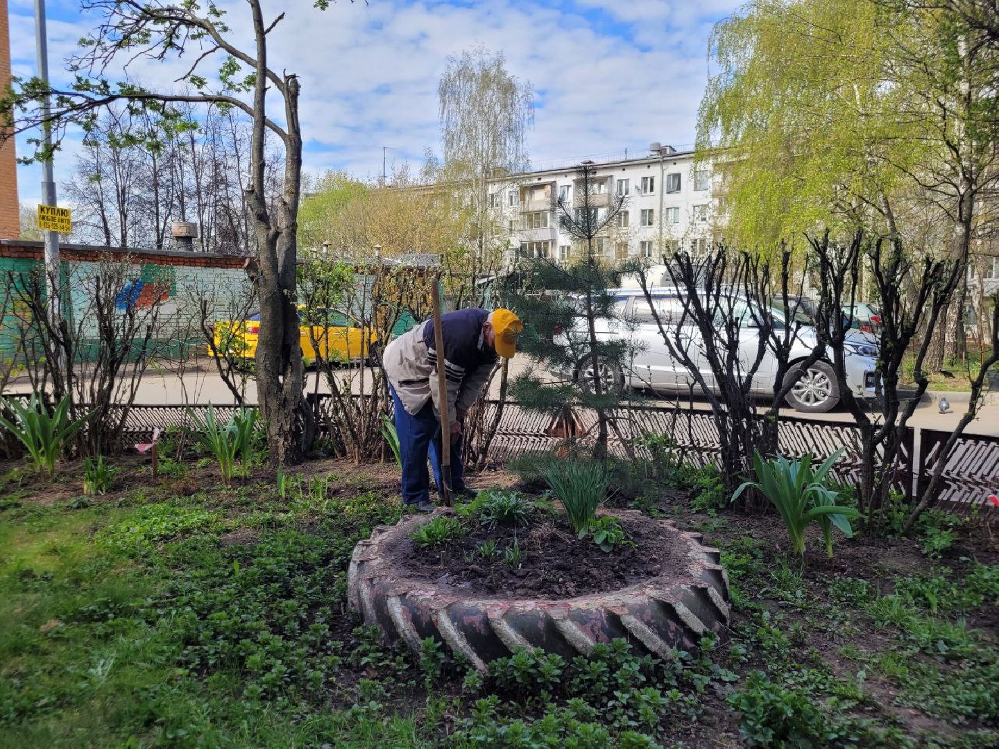 озеленение, депутат, помощь, экология, Видное, деревья