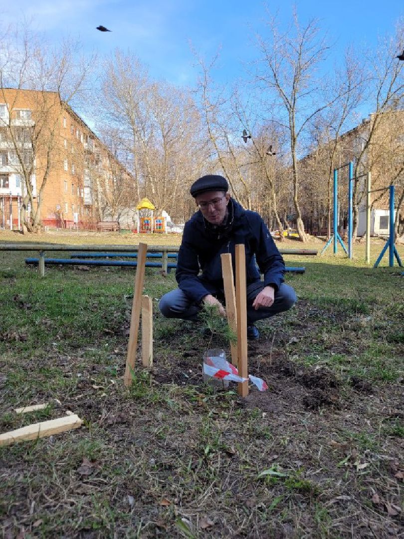 озеленение, депутат, помощь, экология, Видное, деревья