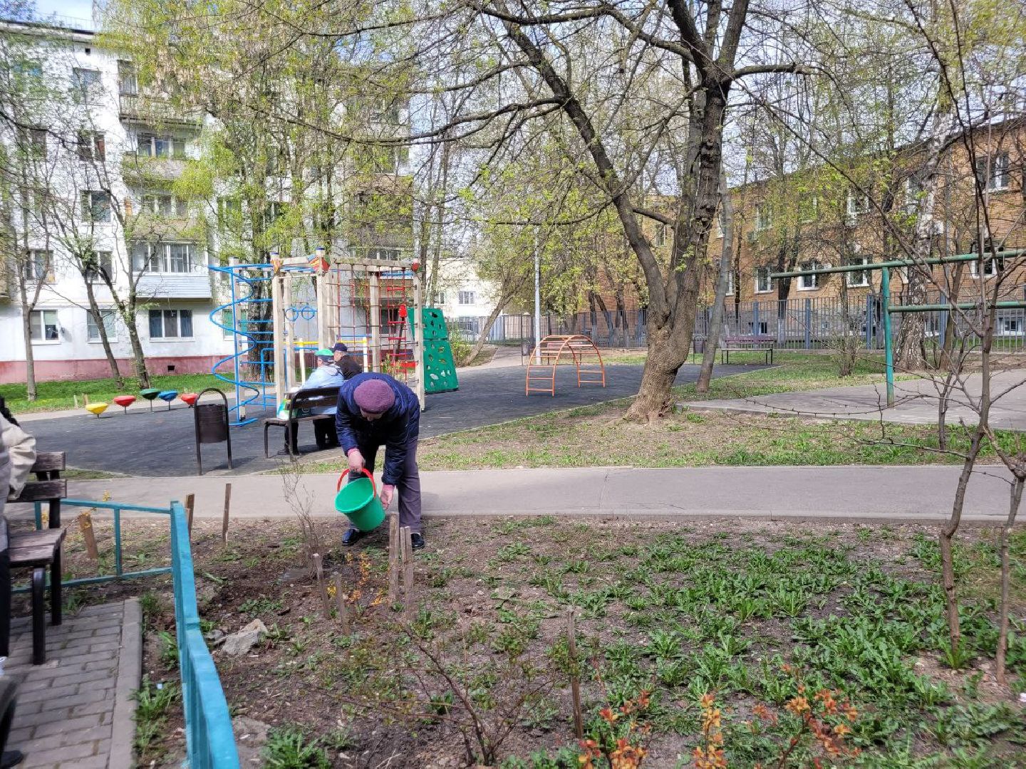 озеленение, депутат, помощь, экология, Видное, деревья