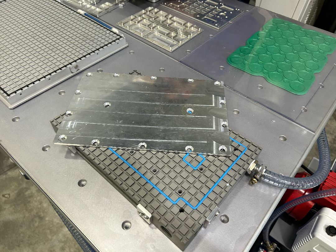 Фрязино, общество