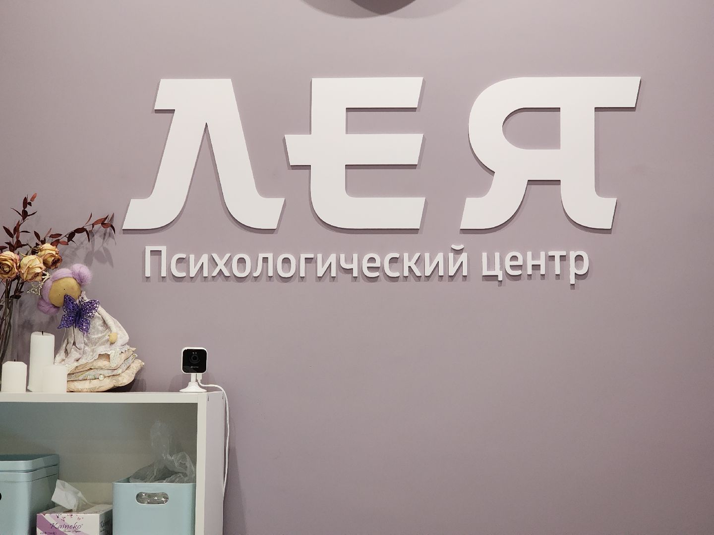 красногорск, психология, сво, реабилитация,