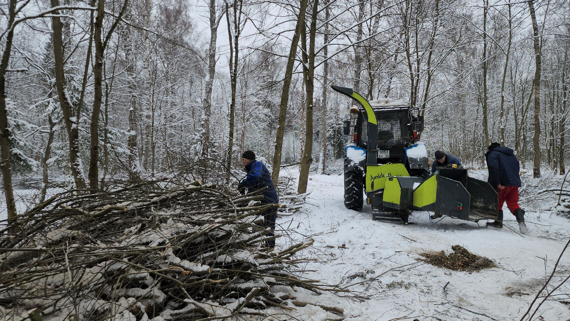 Парк, Благоустройство, Истра, вертикалка,