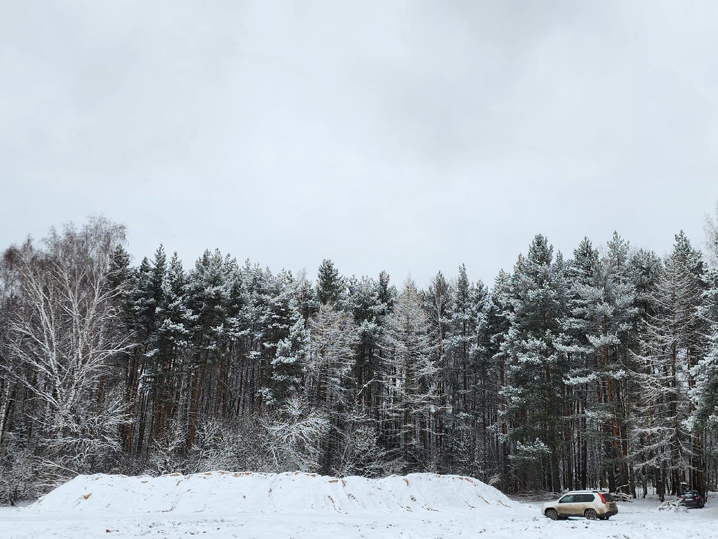 Парк, Благоустройство, Истра, вертикалка,