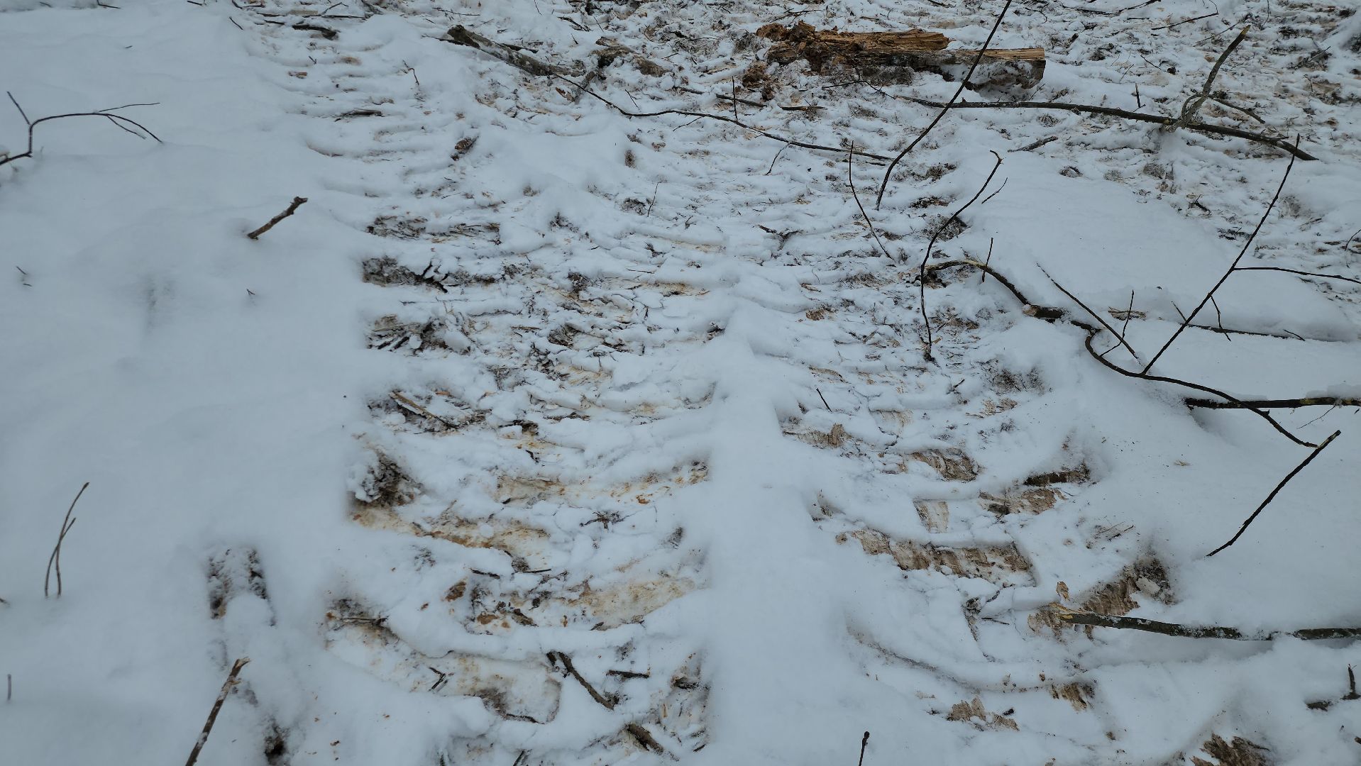 Парк, Благоустройство, Истра, вертикалка,