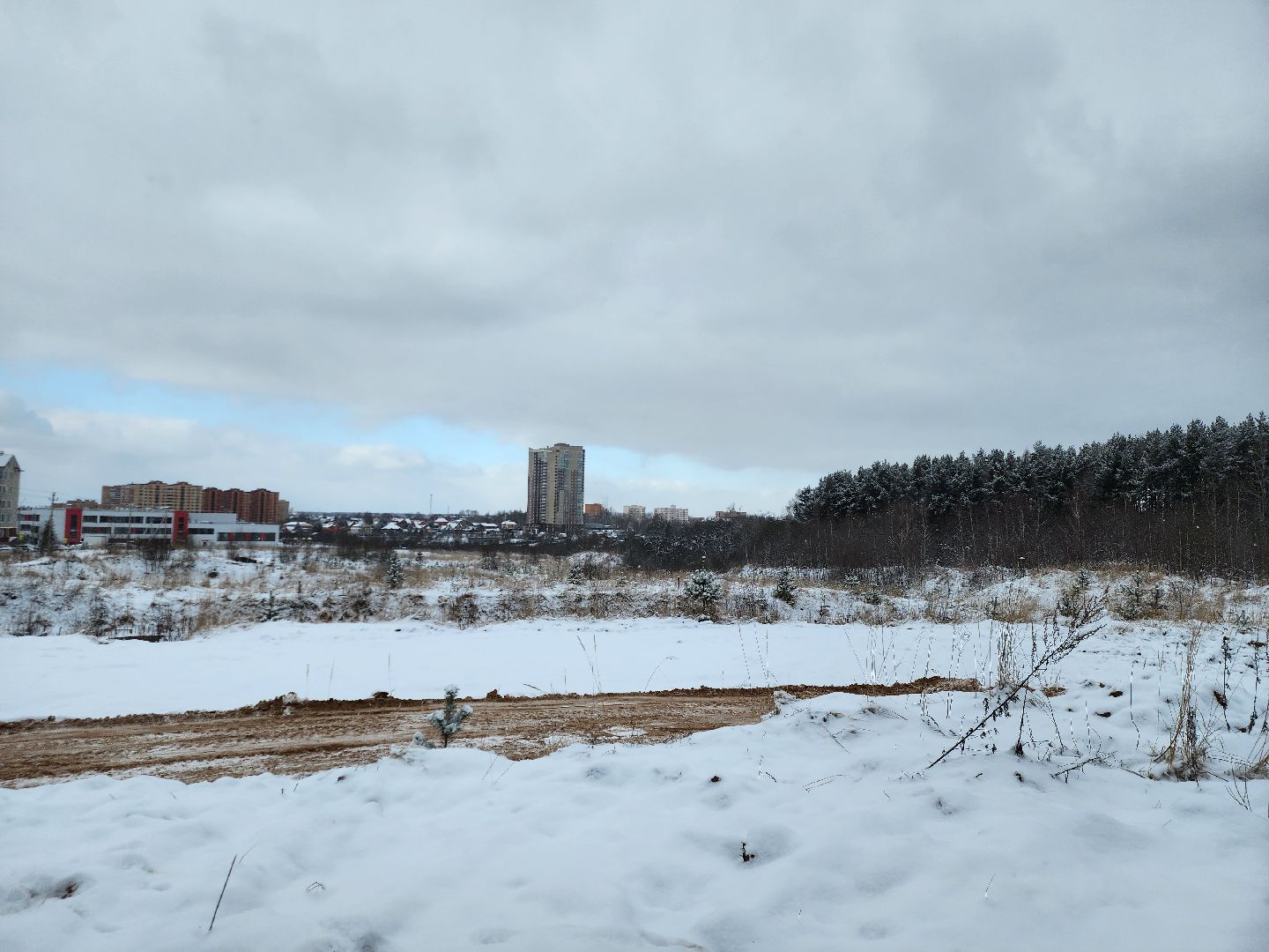 Парк, Благоустройство, Истра, вертикалка,