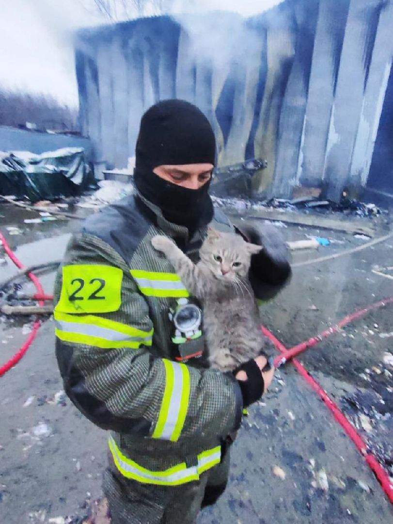 лыткарино, общество, пожарный, безопасность, вертикалки,