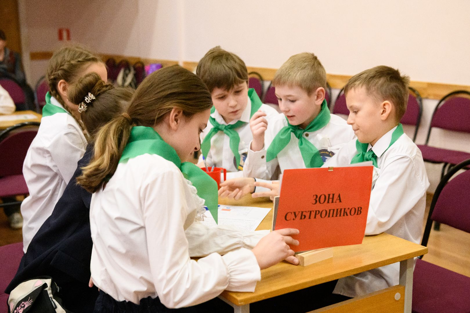 образование, лыткарино, Путешествие по природным зонам России, эко игра, вертикалки,