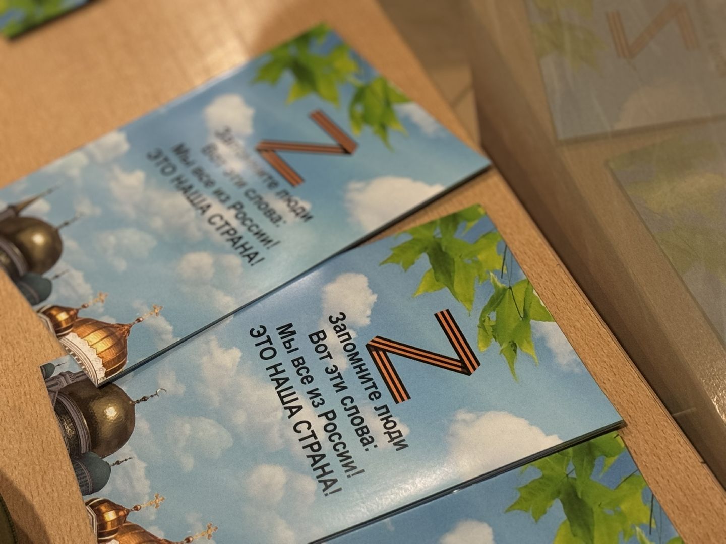 участник сво, детская школа искусств, ленинский го, Кавалер ордена мужества, вертикалки,