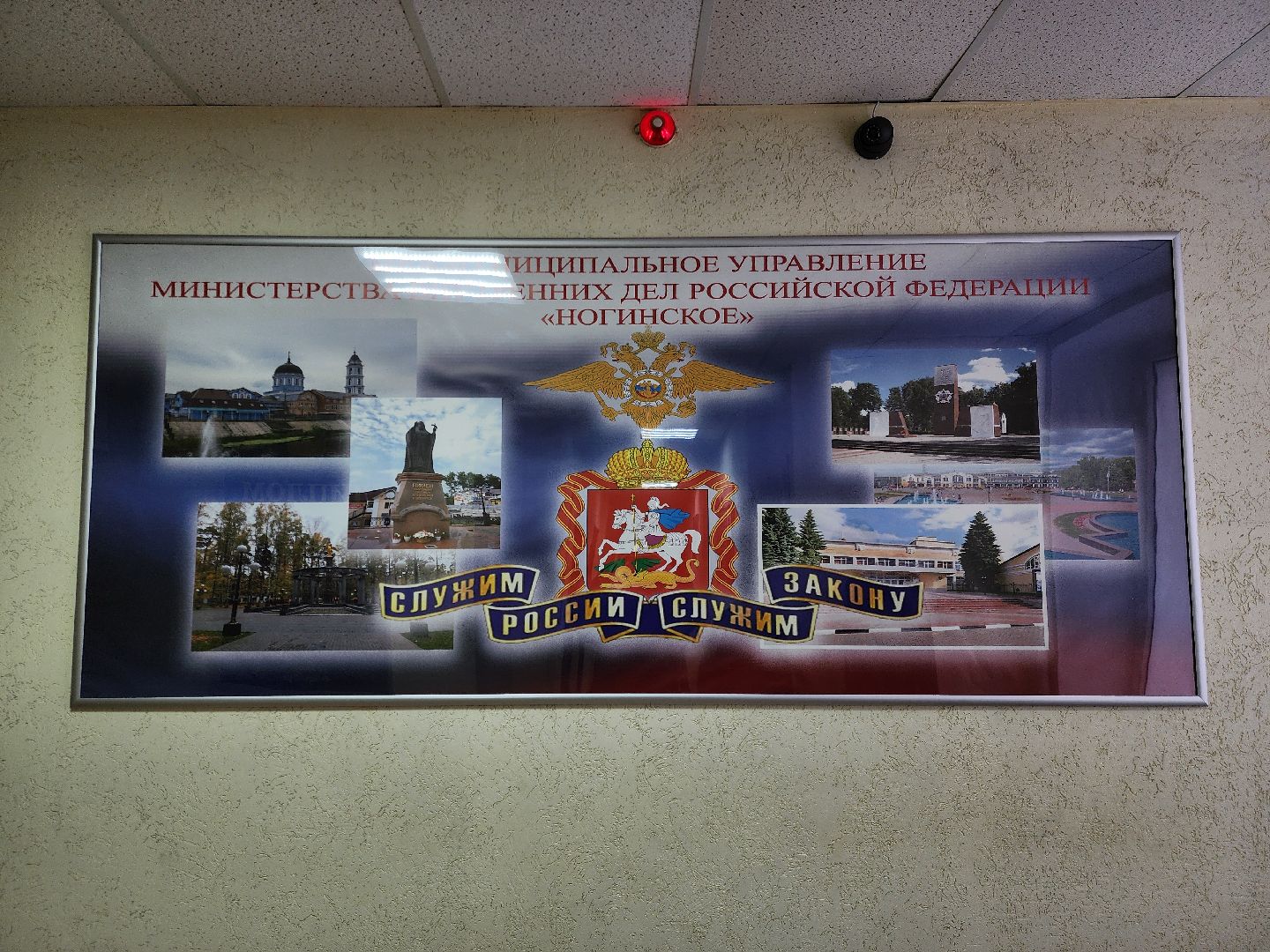 ногинск, полиция, мвд, герой, общество, вертикалки,