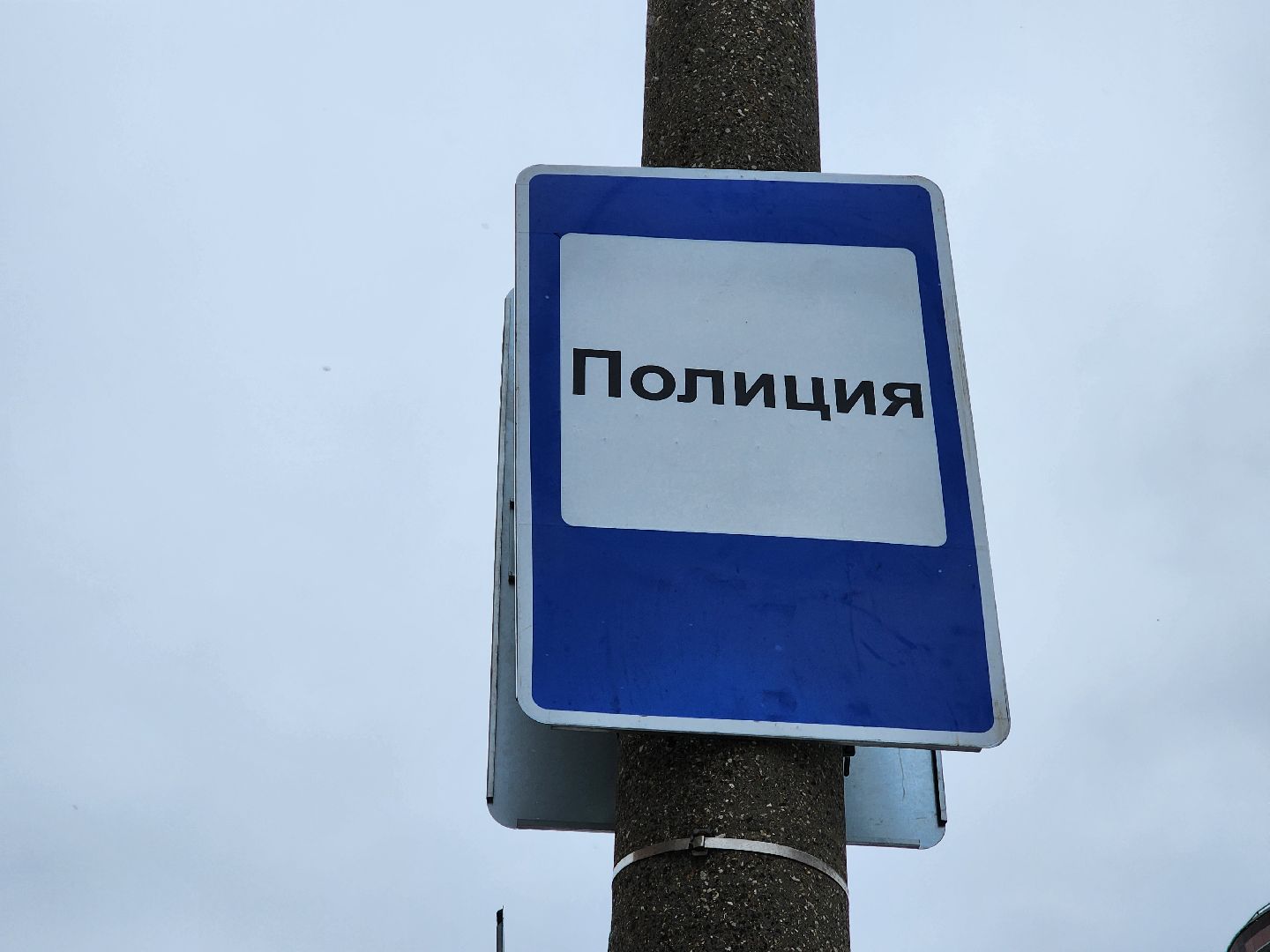 ногинск, полиция, мвд, герой, общество, вертикалки,