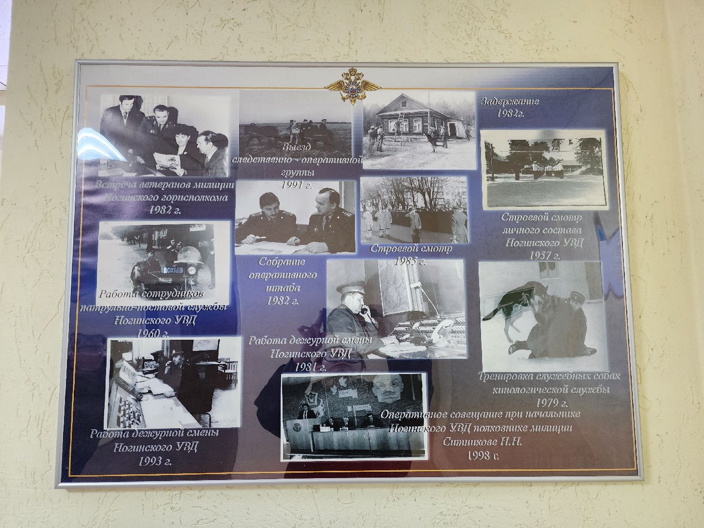 ногинск, полиция, мвд, герой, общество, вертикалки,